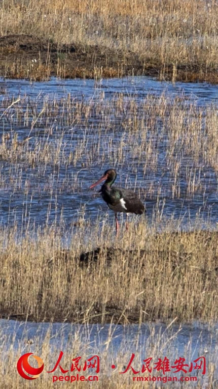 26f67be344b450485a48b3c359c7c661_LOCAL202111182116000581949726854.jpg 26f67be344b450485a48b3c359c7c661_LOCAL202111182116000581949726854.jpg