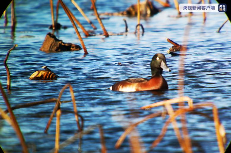 3d0c7017a21a61ca626bc77844357e71_1211470414_16384080037061n.jpg 3d0c7017a21a61ca626bc77844357e71_1211470414_16384080037061n.jpg