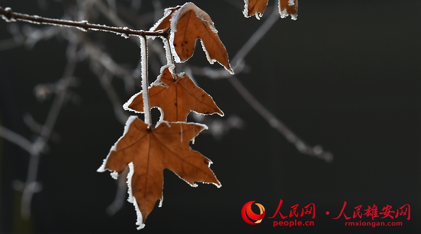 7380ea99c08262770a25fd89fa936a92_LOCAL202201081817000062660827746.jpg 7380ea99c08262770a25fd89fa936a92_LOCAL202201081817000062660827746.jpg