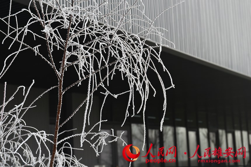 089c14bcce88c96432f60531b8c8940e_LOCAL202201081829000439976941287.jpg 089c14bcce88c96432f60531b8c8940e_LOCAL202201081829000439976941287.jpg