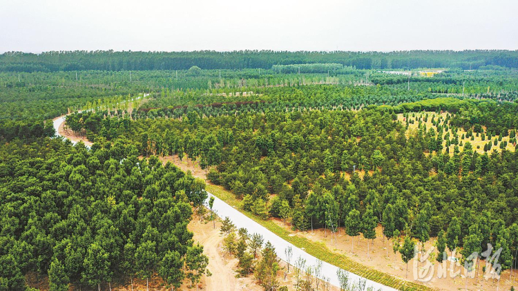 2fd1ea2128042038c54ce9ed1865f772_1211606100_16471359695521n.jpg 2fd1ea2128042038c54ce9ed1865f772_1211606100_16471359695521n.jpg