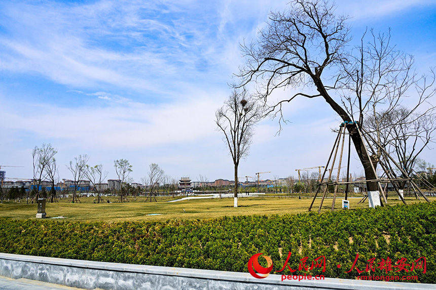 48bd5780c03139e8ce8b1160a22b9a43_LOCAL202204121054000303000468125.jpg 48bd5780c03139e8ce8b1160a22b9a43_LOCAL202204121054000303000468125.jpg