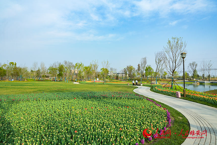 cb3a90f367dabbf1ad856b3f96bf9fd2_LOCAL202204281514000599537008295.jpg cb3a90f367dabbf1ad856b3f96bf9fd2_LOCAL202204281514000599537008295.jpg