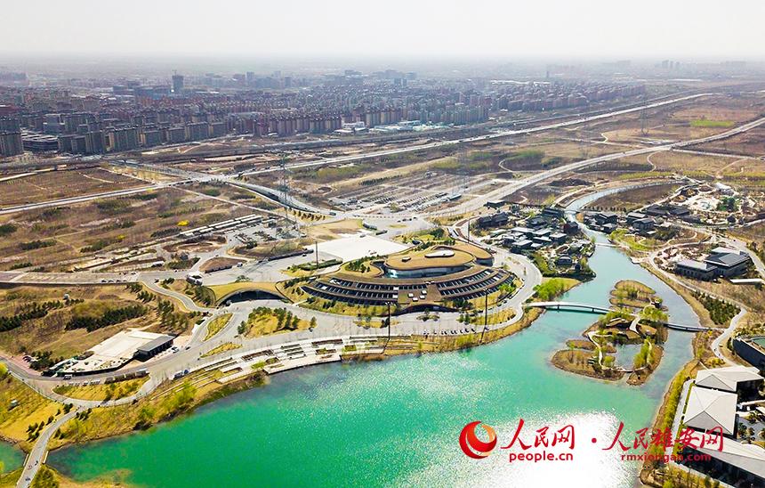 航拍雄安郊野公園。人民網(wǎng)宋燁文攝