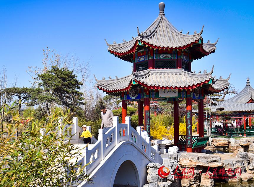 春天的雄安郊野公園，春和景明。人民網(wǎng)宋燁文攝