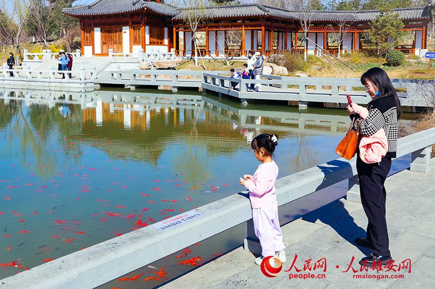 雄安悅?cè)莨珗@一角，不少家長(zhǎng)帶著孩子前來(lái)游玩。人民網(wǎng)宋燁文攝