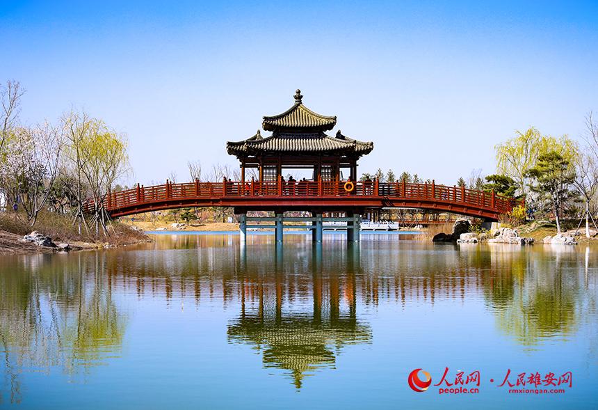 雄安悅?cè)莨珗@一角，微風(fēng)吹動(dòng)水面，泛起陣陣漣漪。人民網(wǎng)宋燁文攝