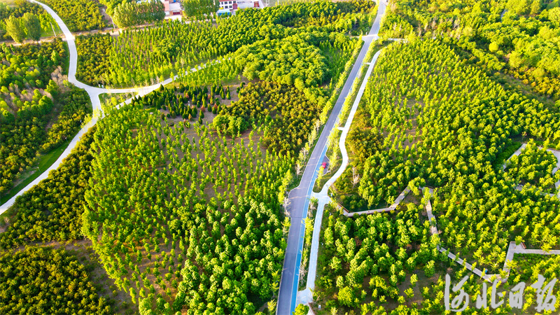 69d1b06b73e26748e2616ea7ea89f5df_1212365579_17166005514251n.jpg 69d1b06b73e26748e2616ea7ea89f5df_1212365579_17166005514251n.jpg