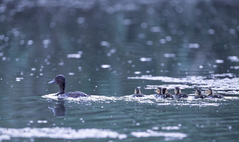 b5e9d53562146170fbb12a838345d705_1212374213_17190237259251n.jpg b5e9d53562146170fbb12a838345d705_1212374213_17190237259251n.jpg