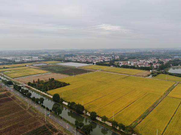 雙游村。受訪者供圖