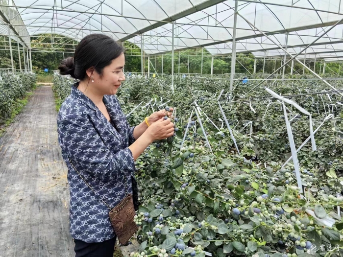 4cac446933423e9915c8198911f34064_35882_700x700_r=1713401641049.jpg 4cac446933423e9915c8198911f34064_35882_700x700_r=1713401641049.jpg