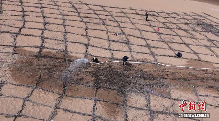 年阻百萬噸流沙：內蒙古綠色屏障為黃河“減負”