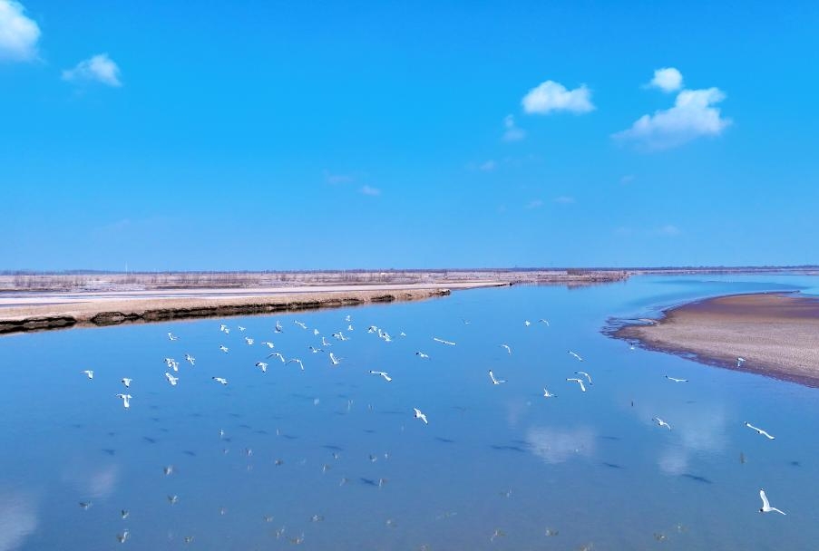 堅持以高水平保護(hù)支撐高質(zhì)量發(fā)展