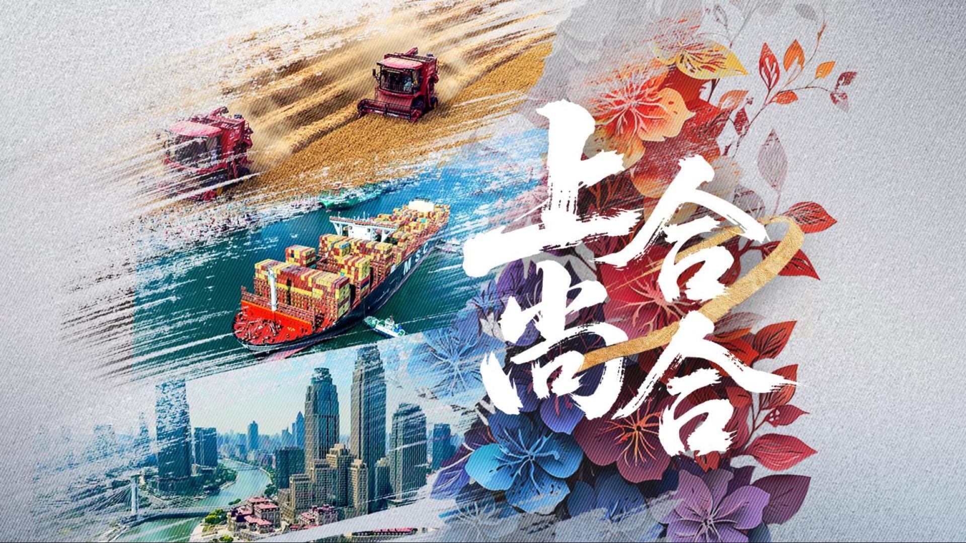 紀(jì)錄片丨上合，尚合